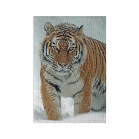 Обложка для паспорта матовая кожа с принтом Тигр в Екатеринбурге, натуральная матовая кожа | размер 19,3 х 13,7 см; прозрачные пластиковые крепления | животное | животные | звери | зверь | зима | кот | кошка | природа | снег | тигр | тигра | тигры | хищник | хищники