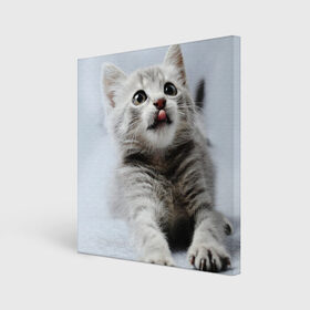 Холст квадратный с принтом серый котенок в Екатеринбурге, 100% ПВХ |  | grey kitten | kitten | котенок | милый котенок | серый котенок