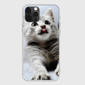 Чехол для iPhone 12 Pro Max с принтом серый котенок в Екатеринбурге, Силикон |  | grey kitten | kitten | котенок | милый котенок | серый котенок