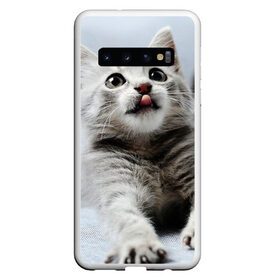 Чехол для Samsung Galaxy S10 с принтом серый котенок в Екатеринбурге, Силикон | Область печати: задняя сторона чехла, без боковых панелей | Тематика изображения на принте: grey kitten | kitten | котенок | милый котенок | серый котенок