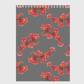 Скетчбук с принтом Цветы айвы на сером фоне в Екатеринбурге, 100% бумага
 | 48 листов, плотность листов — 100 г/м2, плотность картонной обложки — 250 г/м2. Листы скреплены сверху удобной пружинной спиралью | Тематика изображения на принте: айва | весна | красный | лето | паттерн | подарок | природа | растения | романтика | серый | узор | цветы