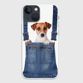 Чехол для iPhone 13 mini с принтом ЩЕНОК В КАРМАШКЕ в Екатеринбурге,  |  | dog | jeans | packet | гав | джинсовый | дружок | животные | звери | карман | комбинезон | ломашние | одежда | пес | собака | щенок