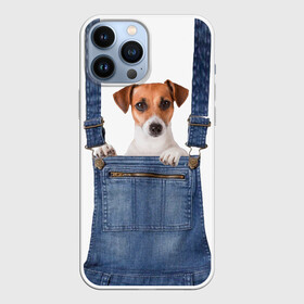 Чехол для iPhone 13 Pro Max с принтом ЩЕНОК В КАРМАШКЕ в Екатеринбурге,  |  | dog | jeans | packet | гав | джинсовый | дружок | животные | звери | карман | комбинезон | ломашние | одежда | пес | собака | щенок