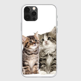 Чехол для iPhone 12 Pro Max с принтом котята в Екатеринбурге, Силикон |  | Тематика изображения на принте: cute kittens | kittens | котята | красивые котята | милые котята