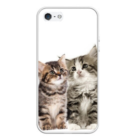 Чехол для iPhone 5/5S матовый с принтом котята в Екатеринбурге, Силикон | Область печати: задняя сторона чехла, без боковых панелей | cute kittens | kittens | котята | красивые котята | милые котята