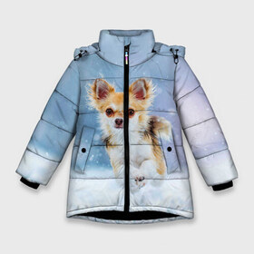 Зимняя куртка для девочек 3D с принтом Чихуахуа в снегу в Екатеринбурге, ткань верха — 100% полиэстер; подклад — 100% полиэстер, утеплитель — 100% полиэстер. | длина ниже бедра, удлиненная спинка, воротник стойка и отстегивающийся капюшон. Есть боковые карманы с листочкой на кнопках, утяжки по низу изделия и внутренний карман на молнии. 

Предусмотрены светоотражающий принт на спинке, радужный светоотражающий элемент на пуллере молнии и на резинке для утяжки. | dog | животные | зима | пес | природа | снег | собака | собаки | собакчка | собачки | чихуа хуа | чихуахуа