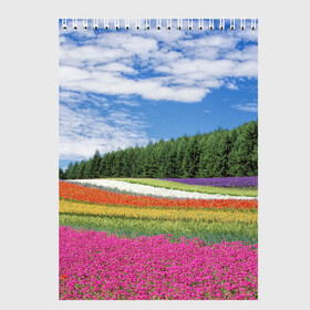 Скетчбук с принтом Цветочное поле в Екатеринбурге, 100% бумага
 | 48 листов, плотность листов — 100 г/м2, плотность картонной обложки — 250 г/м2. Листы скреплены сверху удобной пружинной спиралью | деревья | лес | леса | луг | луга | небеса | небо | облака | облако | поле | поля | природа | растения | туча | тучи | цветок | цветы