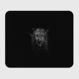 Прямоугольный коврик для мышки с принтом Ягуар выходит из тени в Екатеринбурге, натуральный каучук | размер 230 х 185 мм; запечатка лицевой стороны | jaguar | барс | животное | зверь | кошка | черный | ягуар