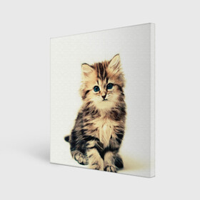 Холст квадратный с принтом котёнок в Екатеринбурге, 100% ПВХ |  | cute kitten | kitten | котёнок | красивый котёнок | милый котёнок