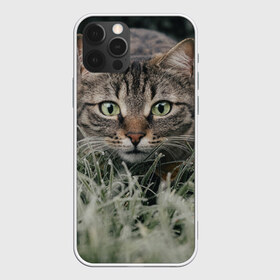 Чехол для iPhone 12 Pro Max с принтом Кошка в Екатеринбурге, Силикон |  | животное | животные | звери | зверь | киса | киска | киски | кот | котики | коты | кошка | питомец | питомцы | природа | хищник | хищники