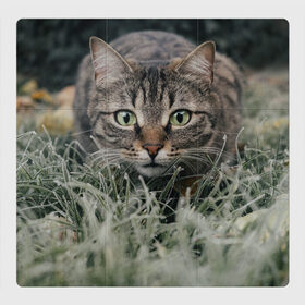 Магнитный плакат 3Х3 с принтом Кошка в Екатеринбурге, Полимерный материал с магнитным слоем | 9 деталей размером 9*9 см | Тематика изображения на принте: животное | животные | звери | зверь | киса | киска | киски | кот | котики | коты | кошка | питомец | питомцы | природа | хищник | хищники