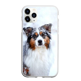 Чехол для iPhone 11 Pro матовый с принтом Австралийская овчарка в Екатеринбурге, Силикон |  | Тематика изображения на принте: dog | австралийская | животные | овчарка | пес | природа | собака | собаки | собакчка | собачки