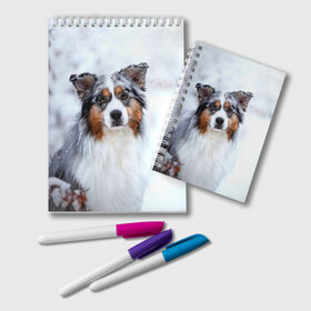 Блокнот с принтом Австралийская овчарка в Екатеринбурге, 100% бумага | 48 листов, плотность листов — 60 г/м2, плотность картонной обложки — 250 г/м2. Листы скреплены удобной пружинной спиралью. Цвет линий — светло-серый
 | Тематика изображения на принте: dog | австралийская | животные | овчарка | пес | природа | собака | собаки | собакчка | собачки