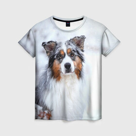 Женская футболка 3D с принтом Австралийская овчарка в Екатеринбурге, 100% полиэфир ( синтетическое хлопкоподобное полотно) | прямой крой, круглый вырез горловины, длина до линии бедер | dog | австралийская | животные | овчарка | пес | природа | собака | собаки | собакчка | собачки