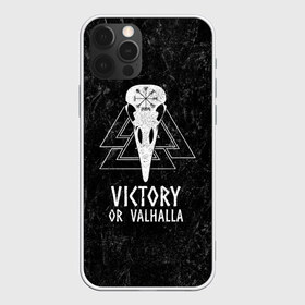 Чехол для iPhone 12 Pro Max с принтом Victory or Valhalla в Екатеринбурге, Силикон |  | Тематика изображения на принте: вальхалла | викинг | ворон | символ | скандинавия | череп | язычество