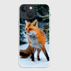 Чехол для iPhone 13 mini с принтом Лиса в зимнем лесу в Екатеринбурге,  |  | fox | foxy | в | животные | звери | зима | зимний | зимняя | лес | лиса | лисичка | лисы | природа | снег | снежная