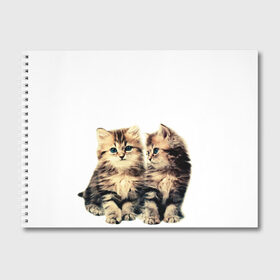 Альбом для рисования с принтом котята в Екатеринбурге, 100% бумага
 | матовая бумага, плотность 200 мг. | cute kittens | kittens | котята | красивые котята | милые котята