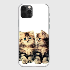 Чехол для iPhone 12 Pro Max с принтом котята в Екатеринбурге, Силикон |  | cute kittens | kittens | котята | красивые котята | милые котята