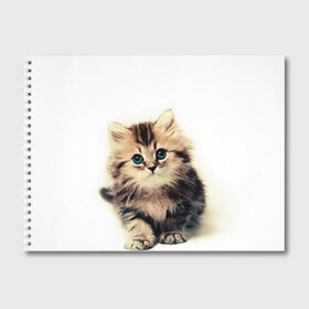 Альбом для рисования с принтом катёнок в Екатеринбурге, 100% бумага
 | матовая бумага, плотность 200 мг. | Тематика изображения на принте: cute kitten | kitten | котёнок | красивый котёнок | милый котёнок