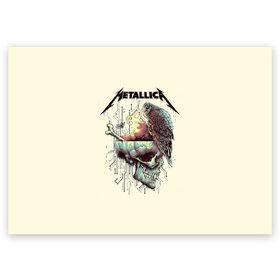 Поздравительная открытка с принтом Metallica в Екатеринбурге, 100% бумага | плотность бумаги 280 г/м2, матовая, на обратной стороне линовка и место для марки
 | metal | metallica | rock | джеймс хэтфилд | классика | легенда | метал | металлика | популярное | рок | рокгруппа