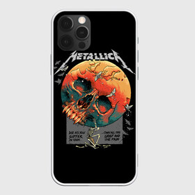 Чехол для iPhone 12 Pro Max с принтом Metallica в Екатеринбурге, Силикон |  | metal | metallica | rock | джеймс хэтфилд | классика | легенда | метал | металлика | популярное | рок | рокгруппа