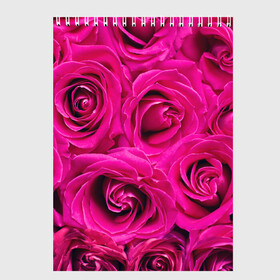Скетчбук с принтом Розы в Екатеринбурге, 100% бумага
 | 48 листов, плотность листов — 100 г/м2, плотность картонной обложки — 250 г/м2. Листы скреплены сверху удобной пружинной спиралью | абстрактно | абстрактные | абстрактный | абстракция | красные | роза | розовые | розы | цветок | цветочек | цветочки | цветочный | цветы