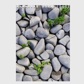Скетчбук с принтом Камни в Екатеринбурге, 100% бумага
 | 48 листов, плотность листов — 100 г/м2, плотность картонной обложки — 250 г/м2. Листы скреплены сверху удобной пружинной спиралью | абстрактно | абстрактные | абстрактный | абстракция | галька | каменные | каменный | камень | камни | камушки | клевер | природа | растения