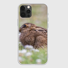 Чехол для iPhone 12 Pro Max с принтом Зайчонок в Екатеринбурге, Силикон |  | животное | животные | зайцы | зайчик | зайчики | зайчонок | заяц | звери | зверь | природа | природный