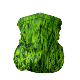 Бандана-труба 3D с принтом Трава в Екатеринбурге, 100% полиэстер, ткань с особыми свойствами — Activecool | плотность 150‒180 г/м2; хорошо тянется, но сохраняет форму | газон | зелень | луг | луга | поле | природа | природный | растение | растения