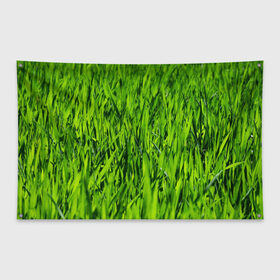 Флаг-баннер с принтом Трава в Екатеринбурге, 100% полиэстер | размер 67 х 109 см, плотность ткани — 95 г/м2; по краям флага есть четыре люверса для крепления | газон | зелень | луг | луга | поле | природа | природный | растение | растения