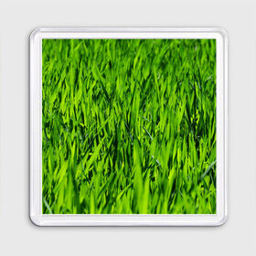 Магнит 55*55 с принтом Трава в Екатеринбурге, Пластик | Размер: 65*65 мм; Размер печати: 55*55 мм | газон | зелень | луг | луга | поле | природа | природный | растение | растения