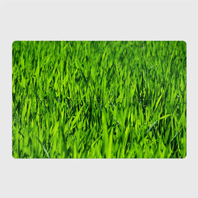 Магнитный плакат 3Х2 с принтом Трава в Екатеринбурге, Полимерный материал с магнитным слоем | 6 деталей размером 9*9 см | газон | зелень | луг | луга | поле | природа | природный | растение | растения