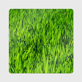 Магнит виниловый Квадрат с принтом Трава в Екатеринбурге, полимерный материал с магнитным слоем | размер 9*9 см, закругленные углы | газон | зелень | луг | луга | поле | природа | природный | растение | растения