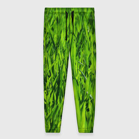 Женские брюки 3D с принтом Трава в Екатеринбурге, полиэстер 100% | прямой крой, два кармана без застежек по бокам, с мягкой трикотажной резинкой на поясе и по низу штанин. В поясе для дополнительного комфорта — широкие завязки | газон | зелень | луг | луга | поле | природа | природный | растение | растения