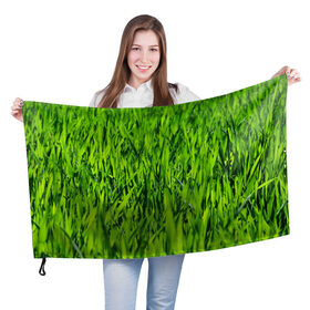 Флаг 3D с принтом Трава в Екатеринбурге, 100% полиэстер | плотность ткани — 95 г/м2, размер — 67 х 109 см. Принт наносится с одной стороны | газон | зелень | луг | луга | поле | природа | природный | растение | растения