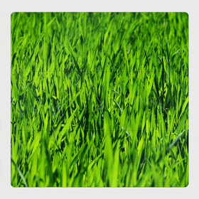 Магнитный плакат 3Х3 с принтом Трава в Екатеринбурге, Полимерный материал с магнитным слоем | 9 деталей размером 9*9 см | газон | зелень | луг | луга | поле | природа | природный | растение | растения