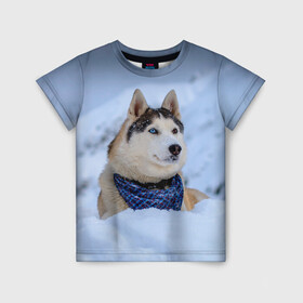 Детская футболка 3D с принтом Хаски в Екатеринбурге, 100% гипоаллергенный полиэфир | прямой крой, круглый вырез горловины, длина до линии бедер, чуть спущенное плечо, ткань немного тянется | dog | животные | пес | природа | собака | собаки | собакчка | собачки | хаски