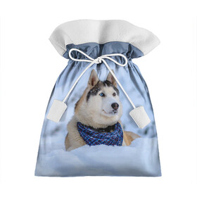 Подарочный 3D мешок с принтом Хаски в Екатеринбурге, 100% полиэстер | Размер: 29*39 см | Тематика изображения на принте: dog | животные | пес | природа | собака | собаки | собакчка | собачки | хаски
