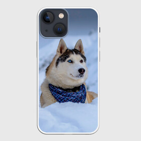 Чехол для iPhone 13 mini с принтом Хаски в Екатеринбурге,  |  | dog | животные | пес | природа | собака | собаки | собакчка | собачки | хаски