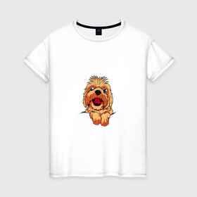 Женская футболка хлопок с принтом Ши Тцу в Екатеринбурге, 100% хлопок | прямой крой, круглый вырез горловины, длина до линии бедер, слегка спущенное плечо | домашнее животное | звери | картинки | милый | мультфильмы | популярные | прикольные | собака | ши тцу | щенок