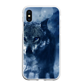 Чехол для iPhone XS Max матовый с принтом Красивый волк в Екатеринбурге, Силикон | Область печати: задняя сторона чехла, без боковых панелей | wolf | ауф | волк | волчонок | зима | синеглазый волк