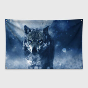Флаг-баннер с принтом Красивый волк в Екатеринбурге, 100% полиэстер | размер 67 х 109 см, плотность ткани — 95 г/м2; по краям флага есть четыре люверса для крепления | wolf | ауф | волк | волчонок | зима | синеглазый волк