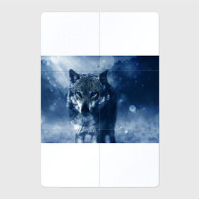 Магнитный плакат 2Х3 с принтом Красивый волк в Екатеринбурге, Полимерный материал с магнитным слоем | 6 деталей размером 9*9 см | wolf | ауф | волк | волчонок | зима | синеглазый волк