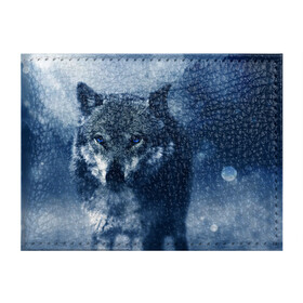 Обложка для студенческого билета с принтом Красивый волк в Екатеринбурге, натуральная кожа | Размер: 11*8 см; Печать на всей внешней стороне | wolf | ауф | волк | волчонок | зима | синеглазый волк