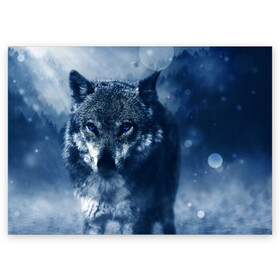 Поздравительная открытка с принтом Красивый волк в Екатеринбурге, 100% бумага | плотность бумаги 280 г/м2, матовая, на обратной стороне линовка и место для марки
 | wolf | ауф | волк | волчонок | зима | синеглазый волк