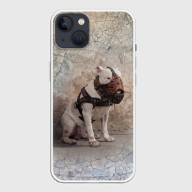 Чехол для iPhone 13 с принтом Бойцовый бультерьер в Екатеринбурге,  |  | bull terrier | dog | ears | eyes | muzzle | paws | plaster | texture | wall | бультерьер | глаза | лапы | намордник | пёс | собака | стена | текстура | уши | штукатурка