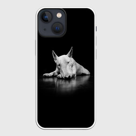 Чехол для iPhone 13 mini с принтом Puppy в Екатеринбурге,  |  | bull terrier | dog | ears | eyes | muzzle | nose | paws | puppy | бультерьер | глаза | лапы | нос | уши | щенок