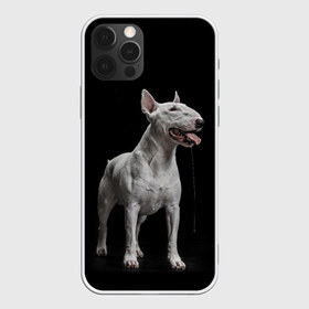 Чехол для iPhone 12 Pro Max с принтом Bully в Екатеринбурге, Силикон |  | Тематика изображения на принте: bull terrier | dog | ears | eyes | fangs | jaw | muzzle | paws | saliva | tongue | бультерьер | глаза | клыки | лапы | нос | пасть | слюна | собака | уши | язык