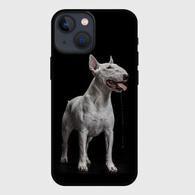 Чехол для iPhone 13 mini с принтом Bully в Екатеринбурге,  |  | bull terrier | dog | ears | eyes | fangs | jaw | muzzle | paws | saliva | tongue | бультерьер | глаза | клыки | лапы | нос | пасть | слюна | собака | уши | язык