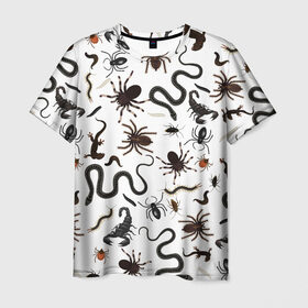 Мужская футболка 3D с принтом Жуткие насекомые в Екатеринбурге, 100% полиэфир | прямой крой, круглый вырез горловины, длина до линии бедер | арт | белый | живность | животные | жук | жуткие насекомые | жуть | змея | клоп | набор насекомых | опарыш | паразит | паук | пиявка | рисунок | сколопендра | скорпион | таракан | фон | червь | ядовитый